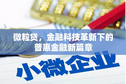 郴州微粒贷，金融科技革新下的普惠金融新篇章