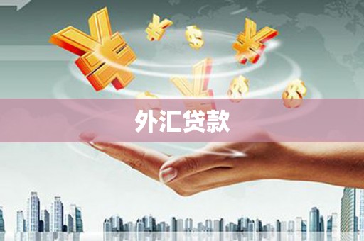 郴州外汇贷款