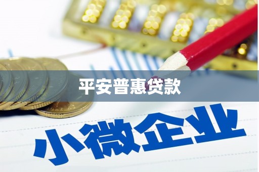 郴州平安普惠贷款