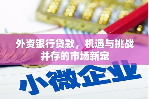 郴州外资银行贷款，机遇与挑战并存的市场新宠