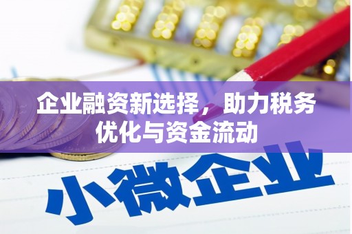 郴州企业融资新选择，助力税务优化与资金流动