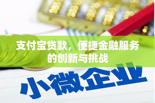 郴州支付宝贷款，便捷金融服务的创新与挑战