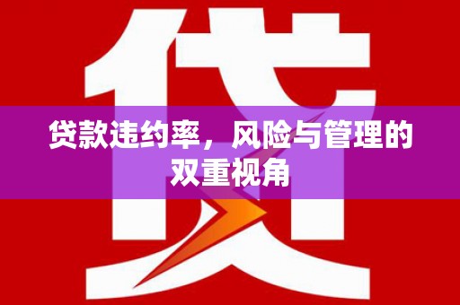 郴州贷款违约率，风险与管理的双重视角