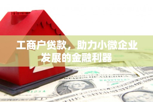 郴州工商户贷款,助力小微企业发展的金融利器 郴州工商户贷款,助力小微企业发展的金融利器
