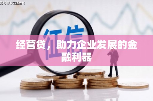 郴州经营贷，助力企业发展的金融利器