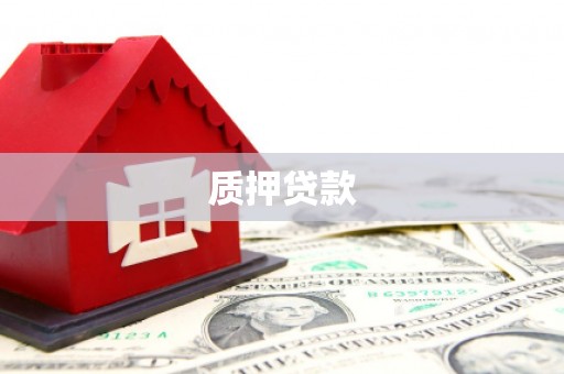 郴州质押贷款