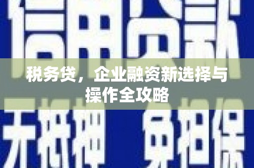 郴州税务贷，企业融资新选择与操作全攻略