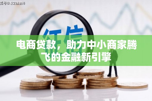 郴州电商贷款，助力中小商家腾飞的金融新引擎