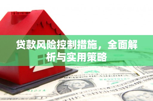郴州贷款风险控制措施，全面解析与实用策略