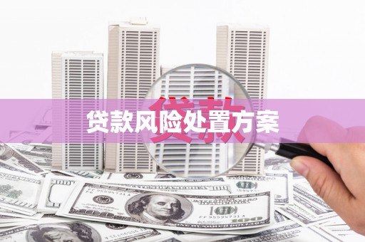 郴州贷款风险处置方案