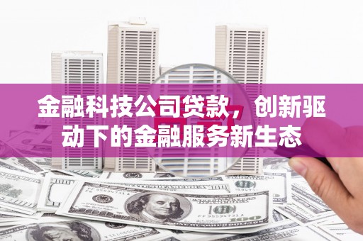 郴州金融科技公司贷款，创新驱动下的金融服务新生态