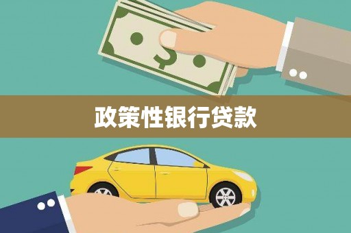 郴州政策性银行贷款