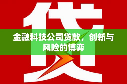 郴州金融科技公司贷款，创新与风险的博弈