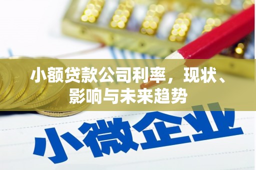 郴州小额贷款公司利率，现状、影响与未来趋势