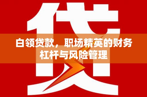 郴州白领贷款，职场精英的财务杠杆与风险管理