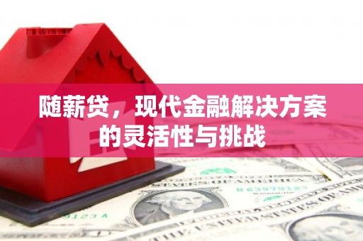 郴州随薪贷，现代金融解决方案的灵活性与挑战