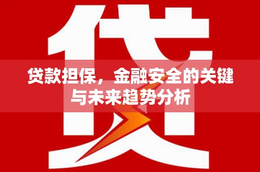 郴州贷款担保，金融安全的关键与未来趋势分析