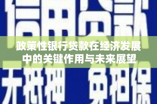 郴州政策性银行贷款在经济发展中的关键作用与未来展望