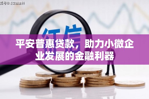 郴州平安普惠贷款，助力小微企业发展的金融利器