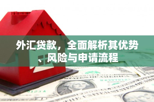 郴州外汇贷款，全面解析其优势、风险与申请流程