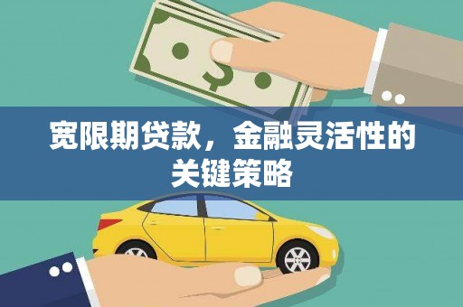 郴州宽限期贷款，金融灵活性的关键策略