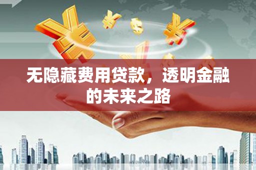郴州无隐藏费用贷款，透明金融的未来之路