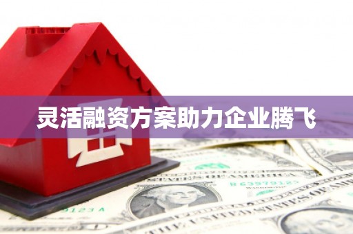 郴州灵活融资方案助力企业腾飞