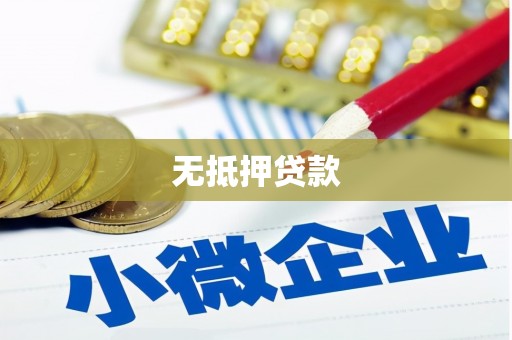 郴州无抵押贷款