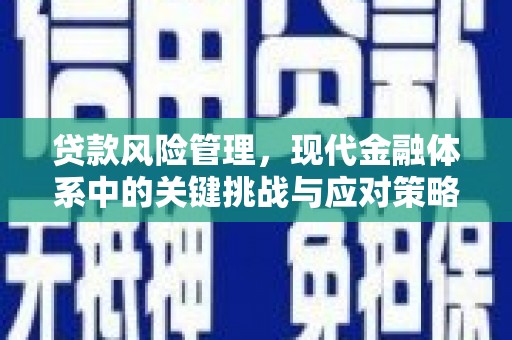郴州贷款风险管理，现代金融体系中的关键挑战与应对策略
