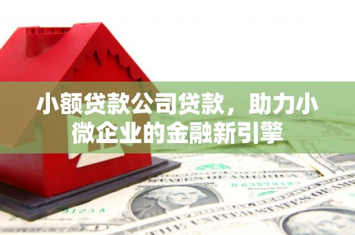郴州小额贷款公司贷款，助力小微企业的金融新引擎