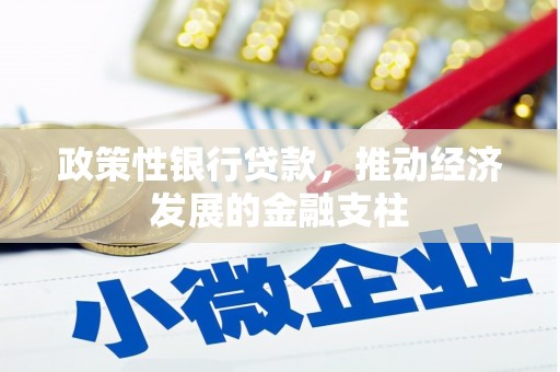 郴州政策性银行贷款，推动经济发展的金融支柱