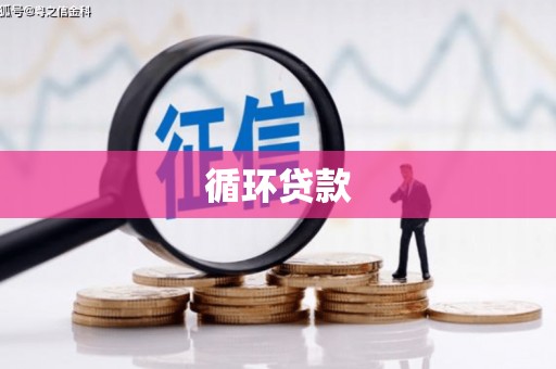 郴州循环贷款