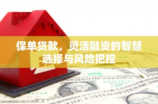 郴州保单贷款，灵活融资的智慧选择与风险把控