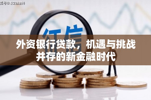 郴州外资银行贷款，机遇与挑战并存的新金融时代
