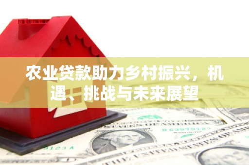 郴州农业贷款助力乡村振兴，机遇、挑战与未来展望