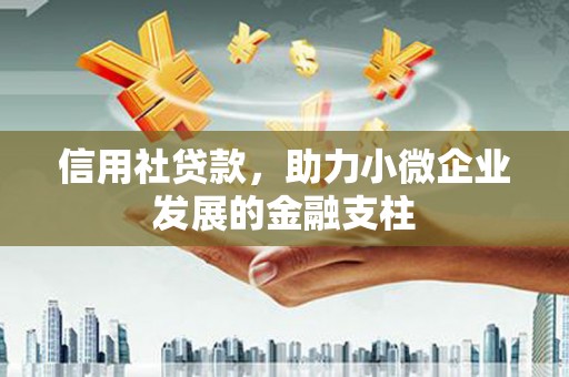 郴州信用社贷款，助力小微企业发展的金融支柱