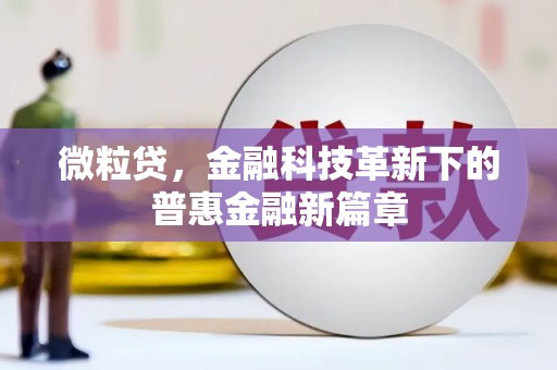 郴州微粒贷，金融科技革新下的普惠金融新篇章