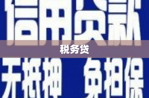 郴州税务贷