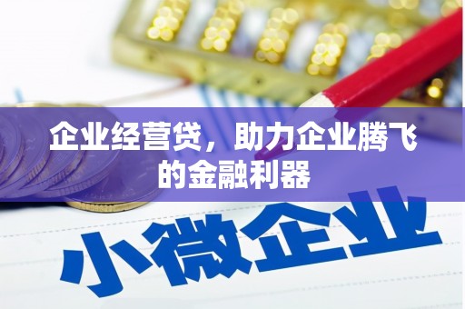 郴州企业经营贷，助力企业腾飞的金融利器