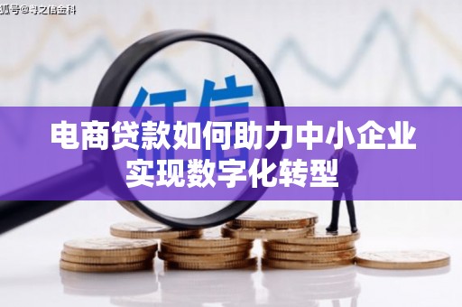 郴州电商贷款如何助力中小企业实现数字化转型