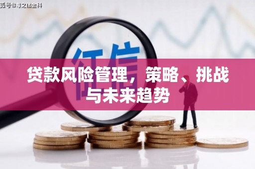 郴州贷款风险管理，策略、挑战与未来趋势