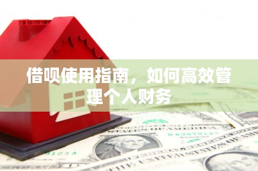 郴州借呗使用指南，如何高效管理个人财务