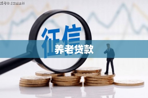 郴州养老贷款