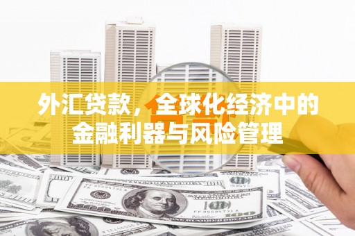 郴州外汇贷款，全球化经济中的金融利器与风险管理