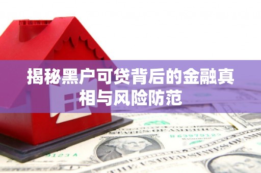 郴州揭秘黑户可贷背后的金融真相与风险防范