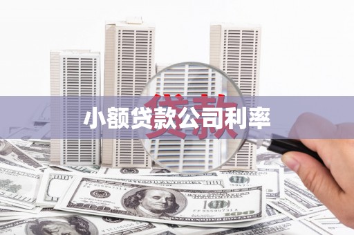郴州小额贷款公司利率