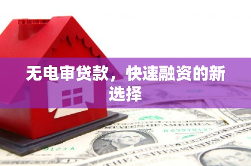 郴州无电审贷款，快速融资的新选择