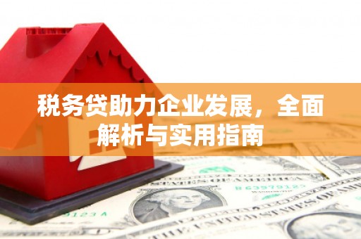 郴州税务贷助力企业发展，全面解析与实用指南