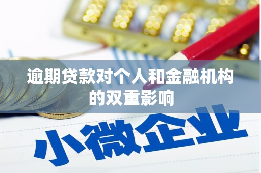 郴州逾期贷款对个人和金融机构的双重影响