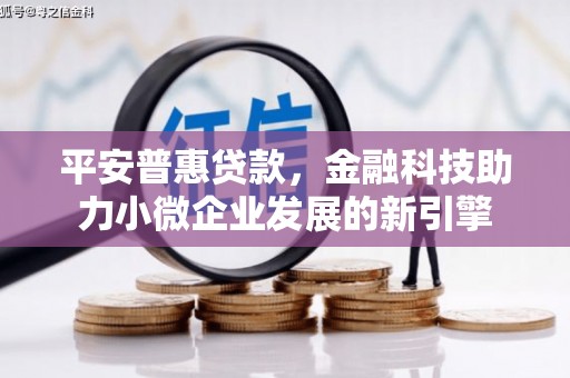 郴州平安普惠贷款，金融科技助力小微企业发展的新引擎